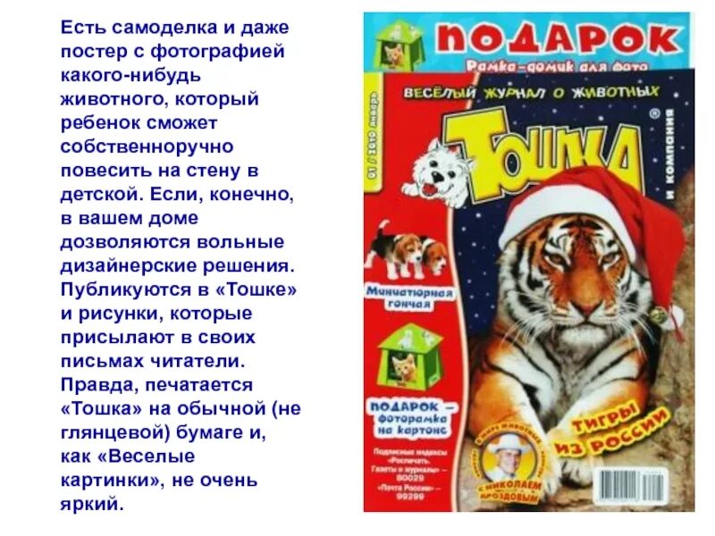 Есть какой нибудь детский. Журнал про животных. Детский журнал про животных. Детский журнал с животными. Журнал Тошка.