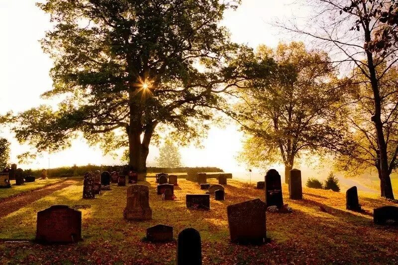 кладбище фото. кладбище утром. кладбище в лесу. фон кладбище утром. кладбище.