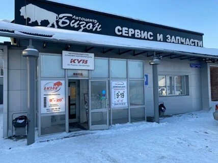 Бизон кемерово