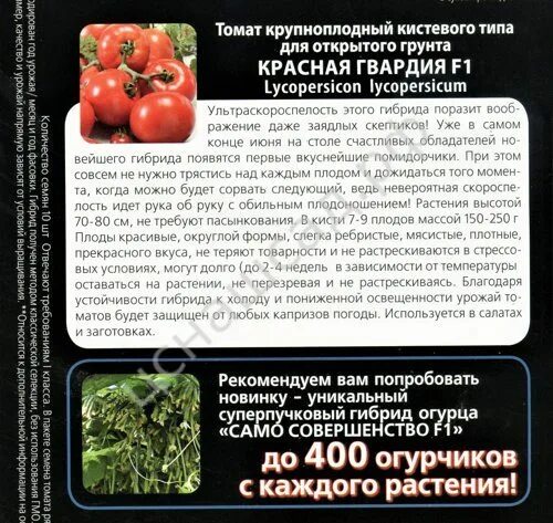 Томаты красная гвардия описание сорта. Томат красная гвардия f1. томат красная гвардия f1 уральский дачник. семена томат красная гвардия f1. красная гвардия томат описание.