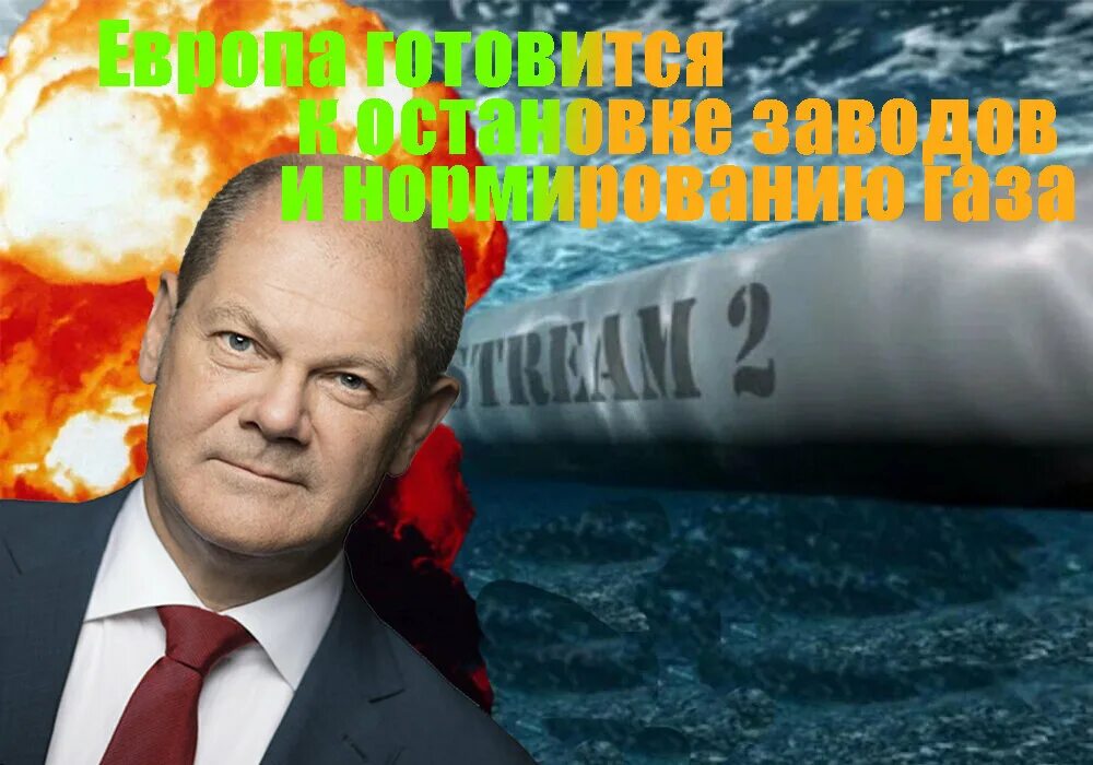 Что будет дальше с россией. Власть ворует. То с россией будет дальше. Путинские кремлеботы. Почему все дорожает смешные картинки.