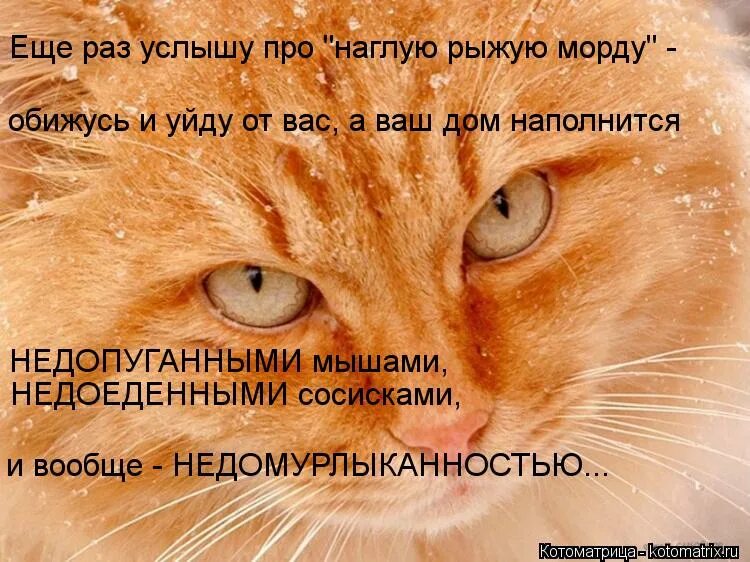 ни разу не услышал