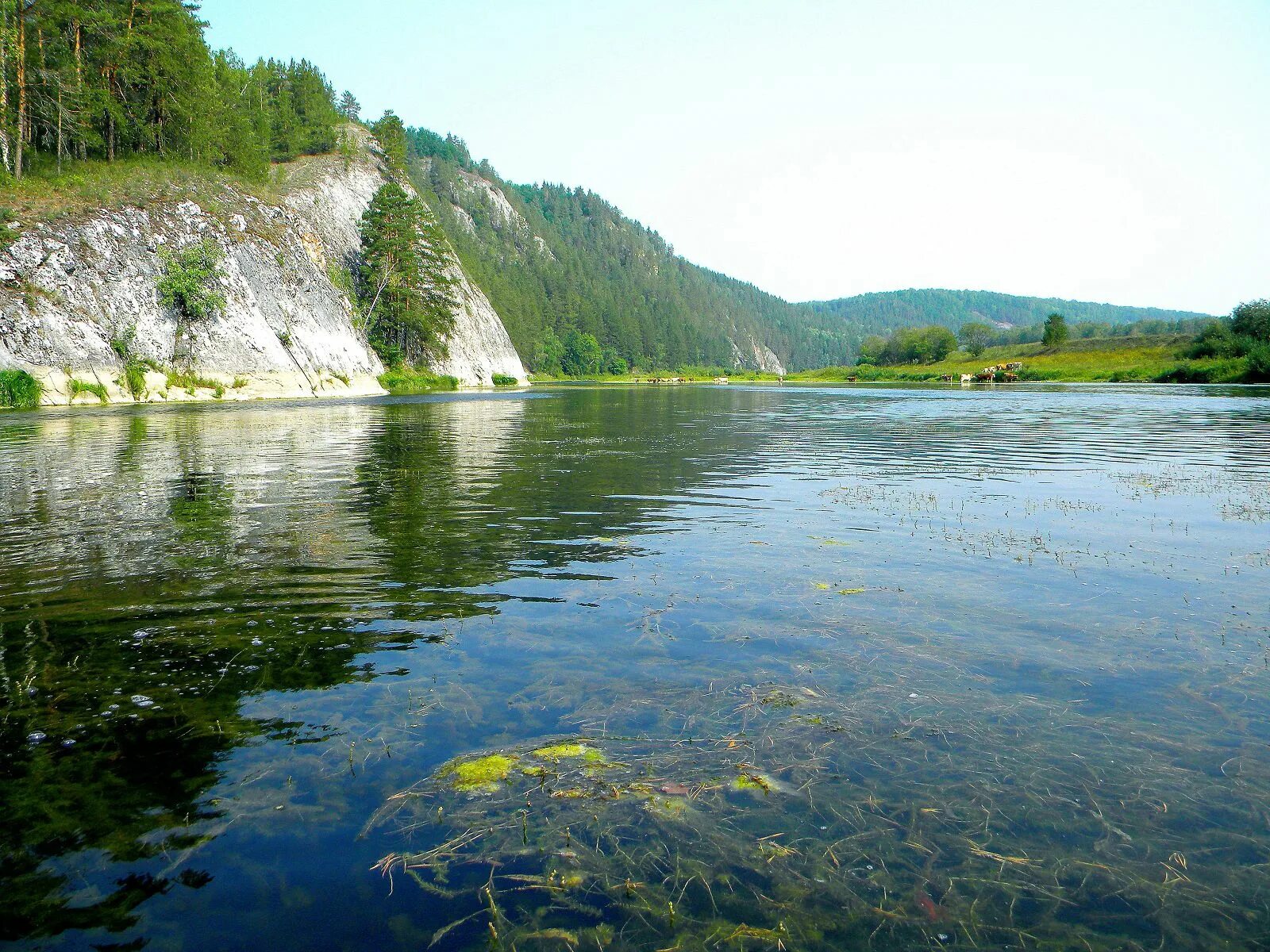 Река белая Белорецк. Белорецк Аша Башкирия. Белорецк Башкирия природа. Природа Башкирии Инзер.