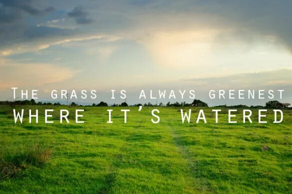 As it is the greenest. The grass is always greener on the other side. the grass is always greener on the other side of the fence. the grass is always greener on the other side of the hill. the grass is always greener on the other side of the fence русский эквивалент.