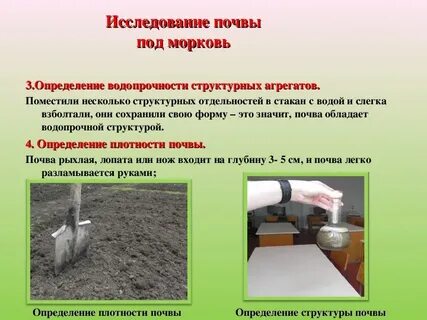 Исследуем почву