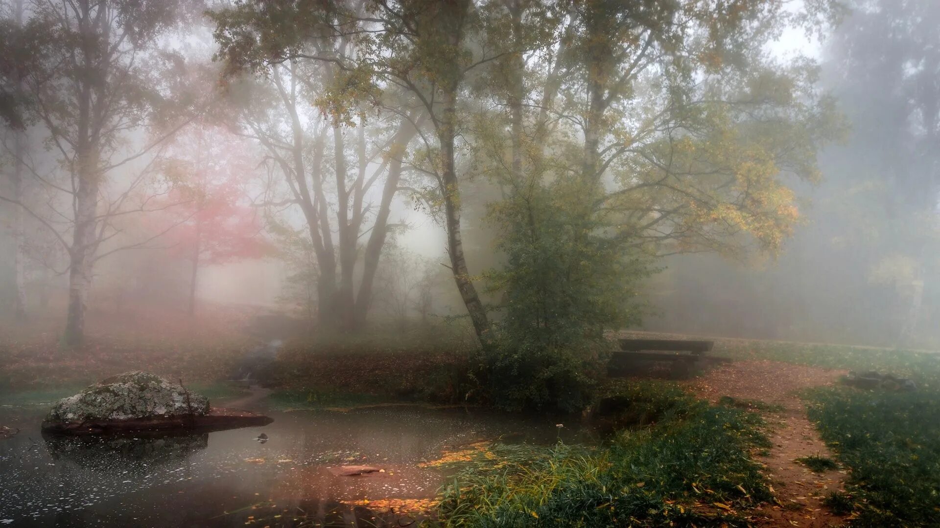 Туман без дождя. Туманный пейзаж. Пасмурный пейзаж. Туманное утро в саду. Осенний туман.