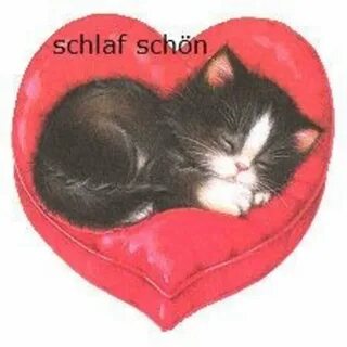Сердце котенка