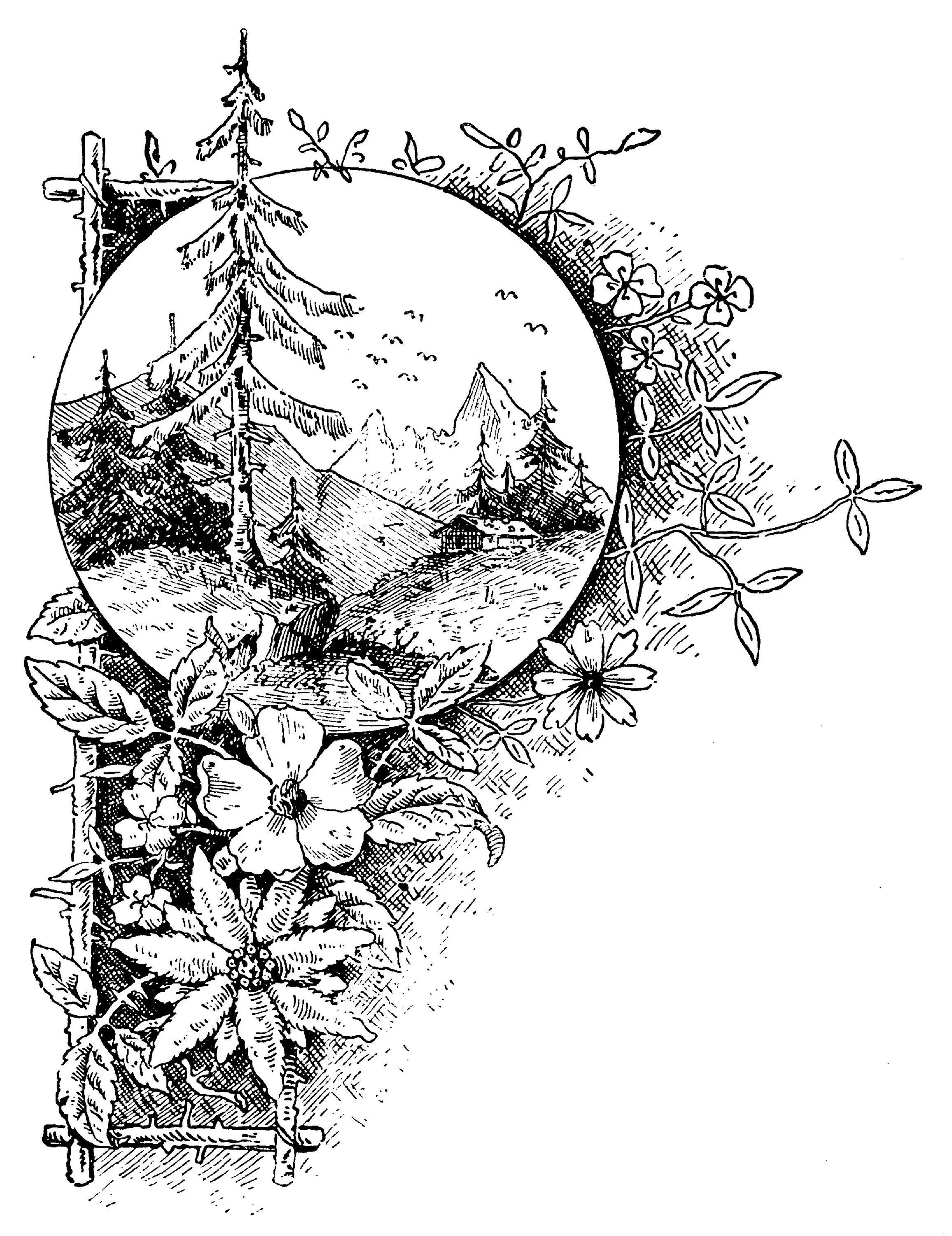 эскизы животных. тигр рисунок для выжигания. рисунок тигра для выжигания по дереву. эскизы цветов для выжигания. эскизы для выжигания.