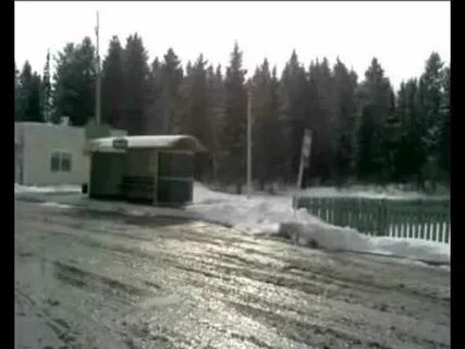 Гисметео сарбала кемеровская