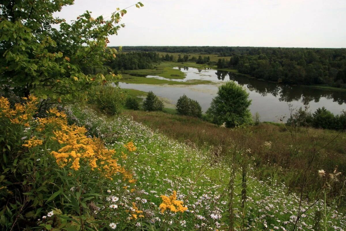 Картинки конца лета. Август природа. Конец августа природа. Август красота природы. Лето август природа.