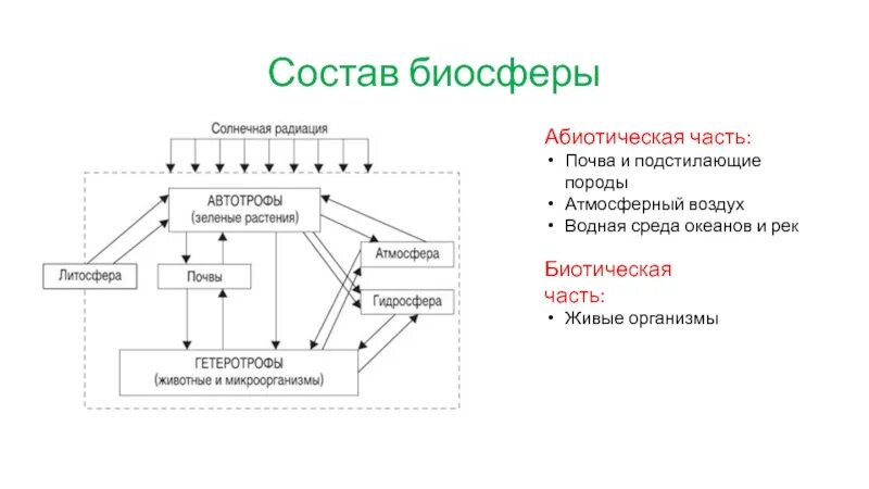 Структурным компонентом биосферы является. Абиотические компоненты экосистемы. абиотические и биотические компоненты экосистемы. состав биосферы.