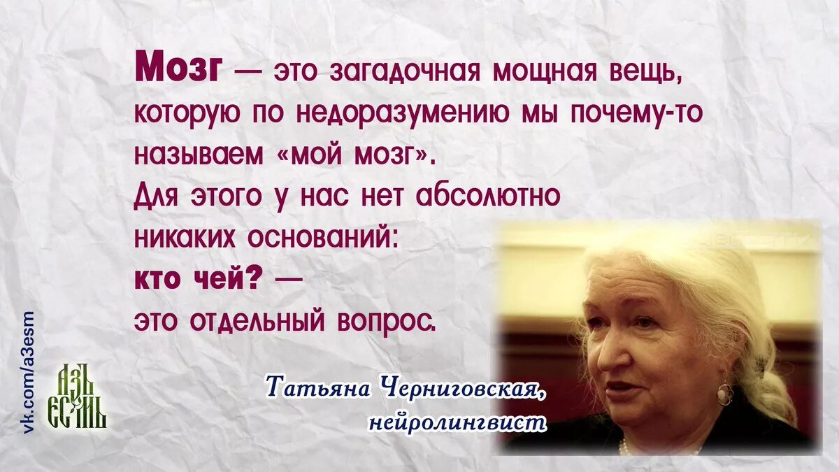 Черниговская про мозг. Фразы про мозг. Цитаты про мозг. Черниговская цитаты.