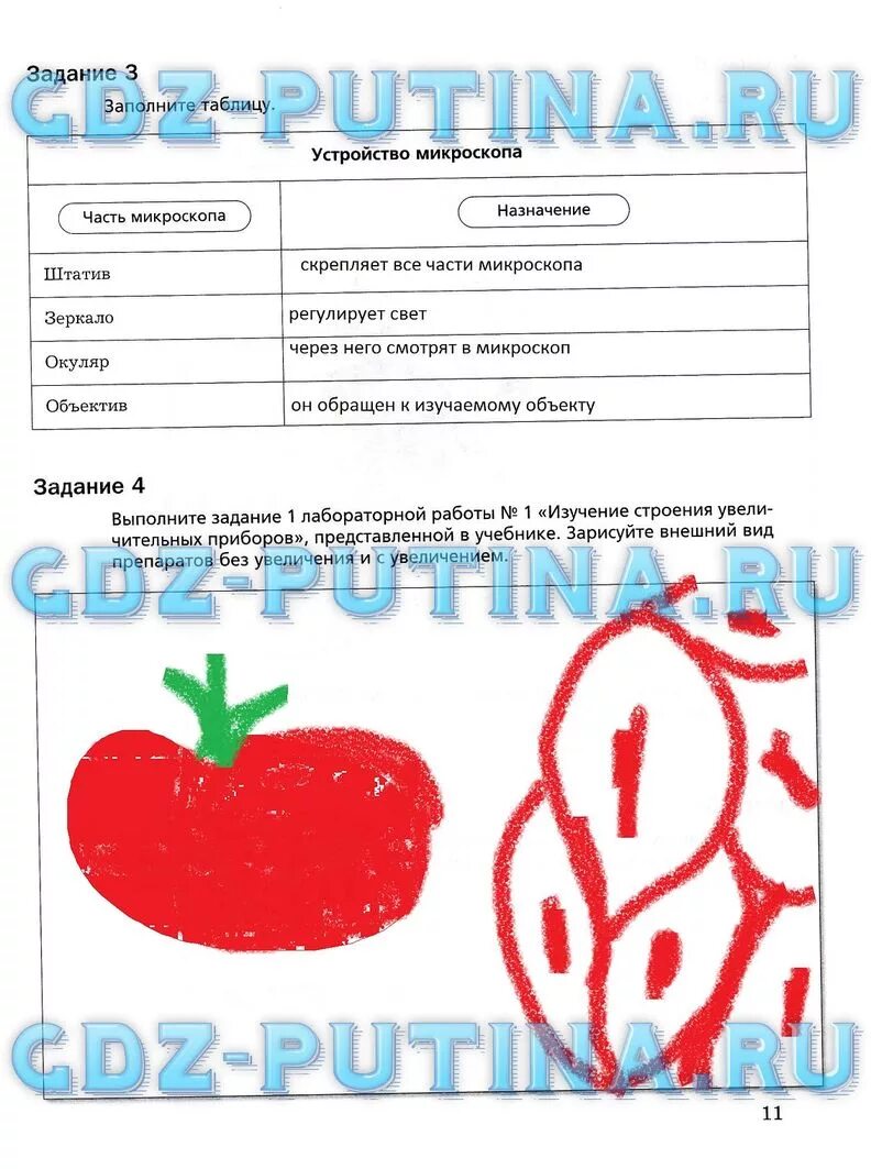 Биология 5 класс рабочая тетрадь Корнилова Николаев Симонова гдз. Гдз по биологии 5 класс рабочая тетрадь Корнилова. Тетрадь по биологии 5 класс Пономарева. Гдз биология 5 класс рабочая тетрадь Корнилова. Готовое домашнее задание по биологии 5