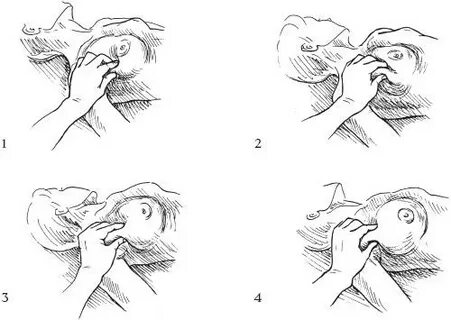 Шұңқыр Ольга