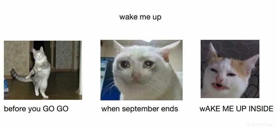 Wake me up when September ends Мем. Вейк Мем. Wake up Мем.