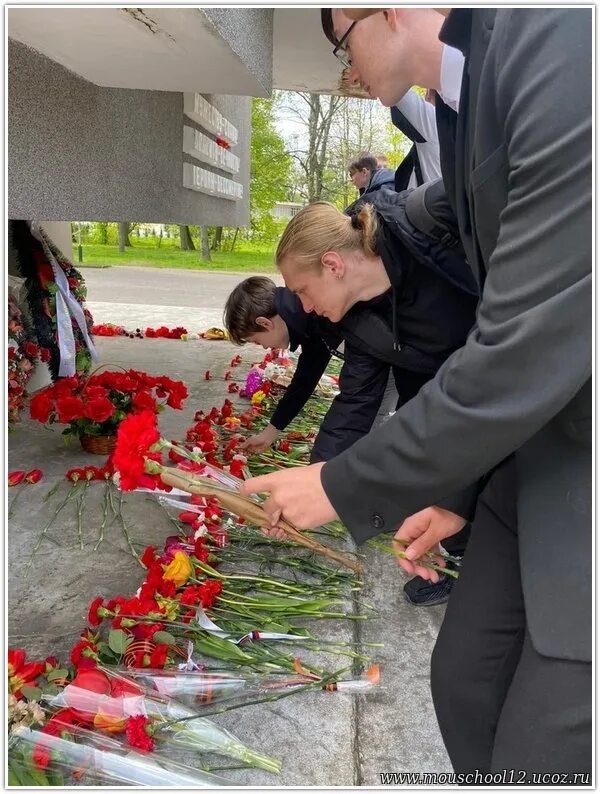 Где можно возложить цветы в спб. Советск Калининградская область возложение цветов на 9 мая. Возложение цветов. Возложение цветов 9 мая. Цветы на возложение 9 мая.