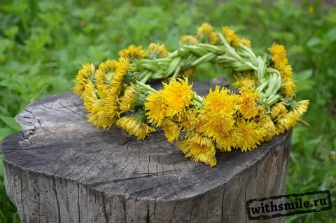 Вика сплела венок из желтых одуванчиков
