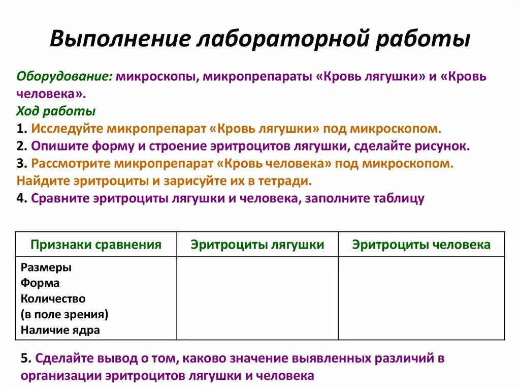 Лабораторная работа сравнение крови лягушки и человека. Выполнение лабораторной работы. Лабораторная работа кровь лягушки. Кровь лягушки и человека сравнение. Лабораторная работа кровь человека и лягушки.