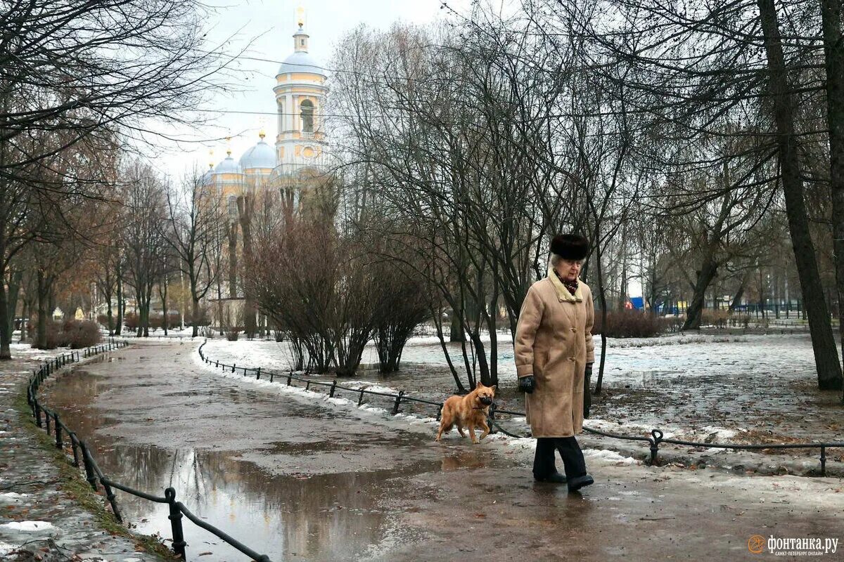 Спб январь 2023. Оттепель в Санкт-Петербурге. Оттепель в Петербурге. Питер в апреле. Петербург зима оттепель.