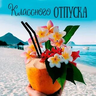 Отпуска 12
