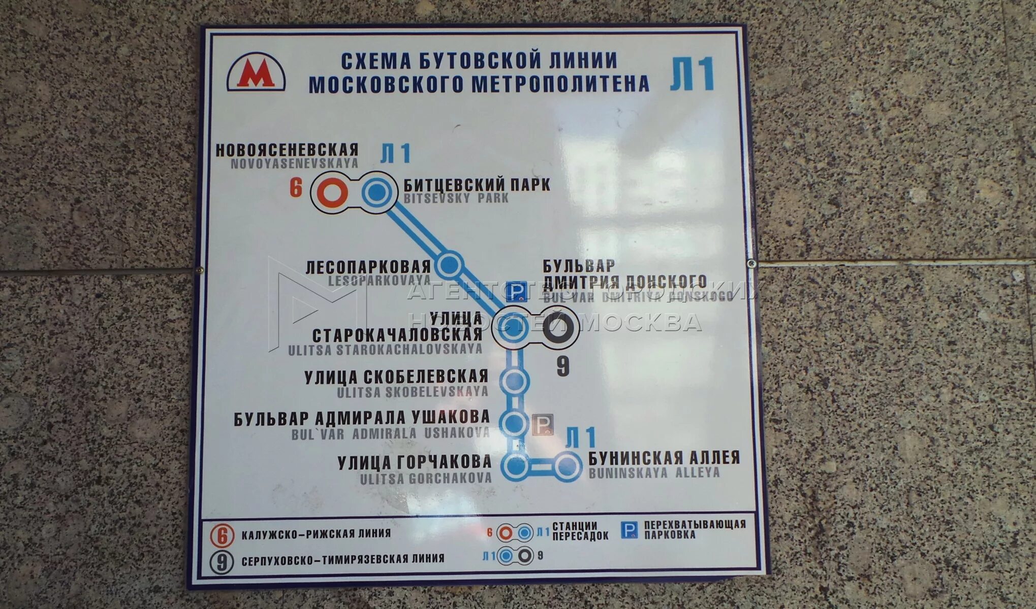 Дмитрия донского какая ветка