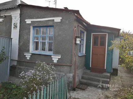 Авито придонской