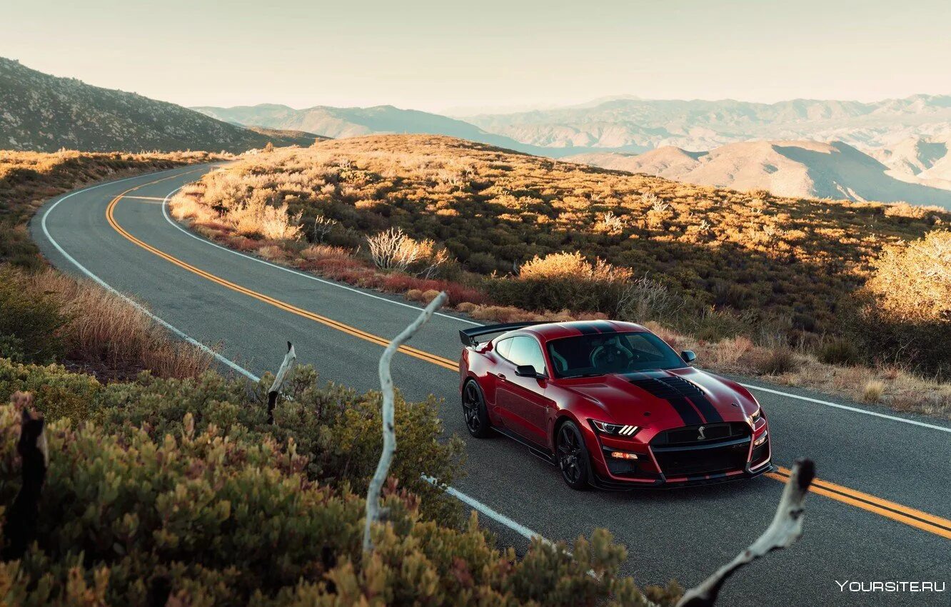 Ford Mustang gt500 Red. Ford Shelby gt500 2020.