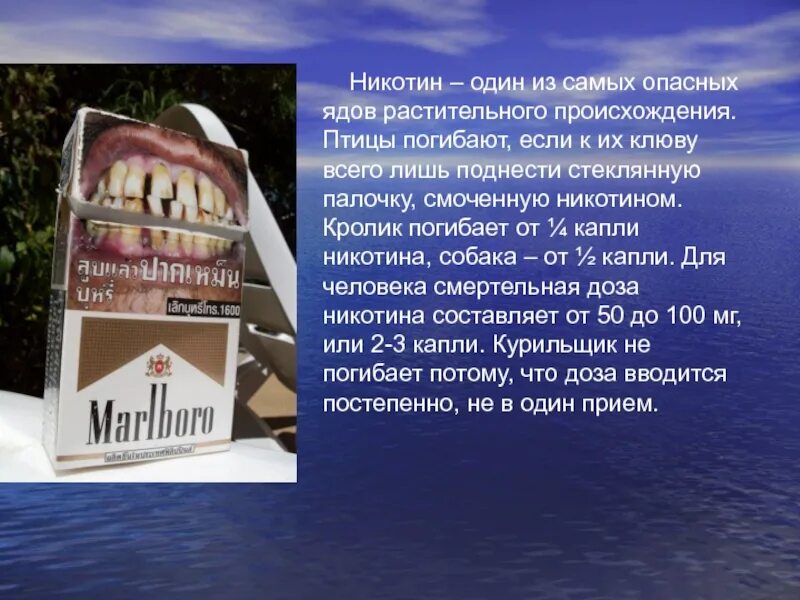 Один из самых опасных ядов растительного происхождения. Самые опасные яды для человека. Будьте сильнее яда