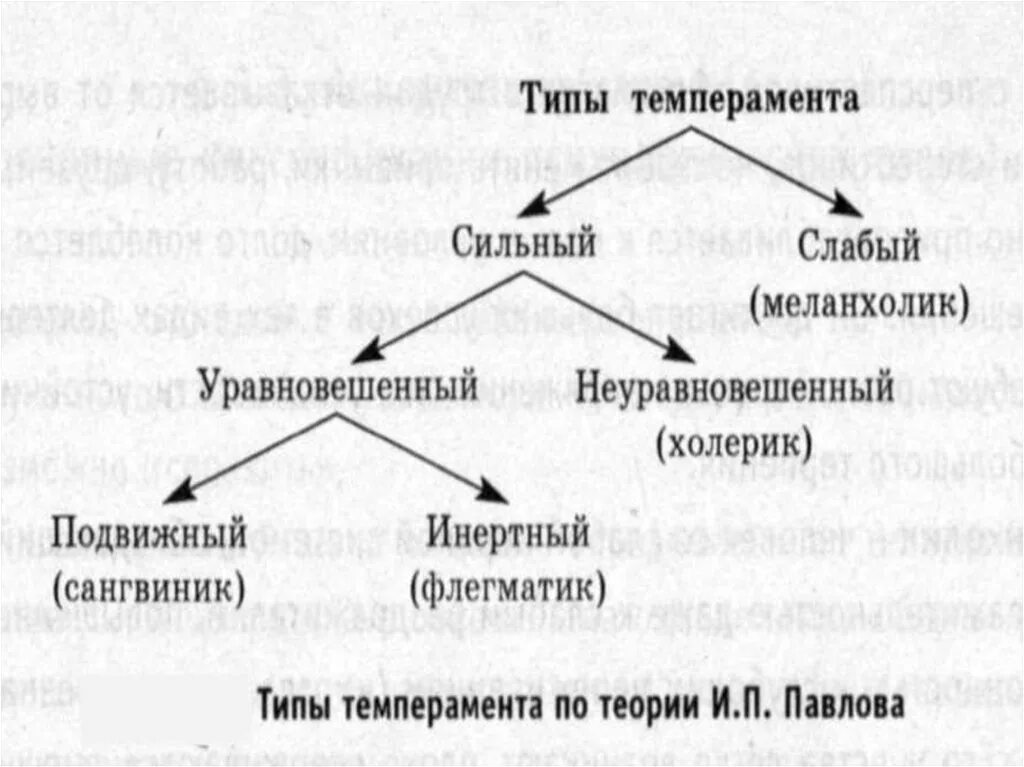 Сильные и слабые темпераменты