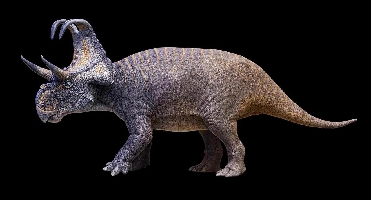 Файл:Agujaceratops life restoration.jpg - Википедия