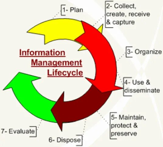 Informal life. Information Lifecycle Management. Information System Life Cycle. Цикл менеджмент класса. SCM цикл примеры.