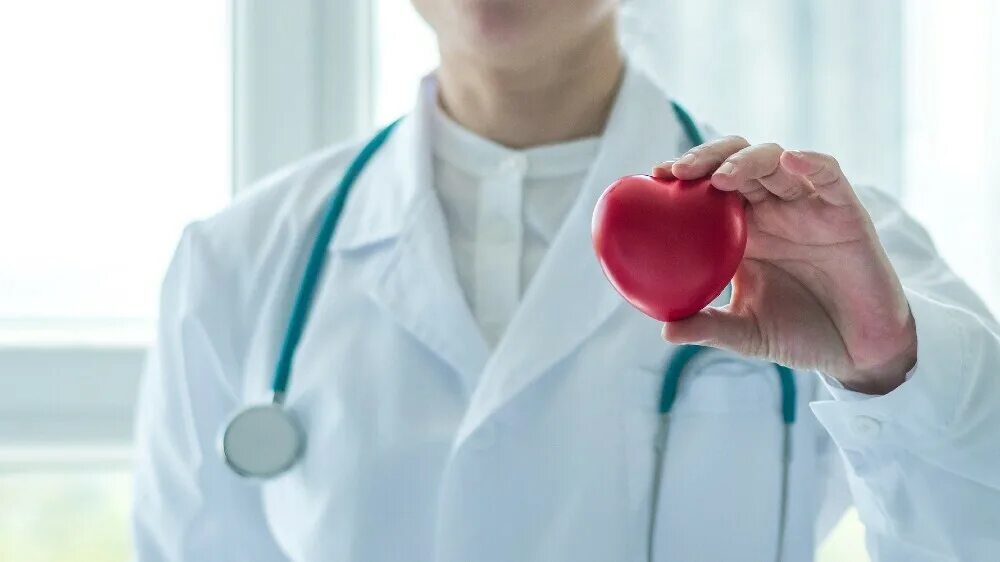 Cardiovascular disease doctor or cardiologist holding red heart in clinic or hos