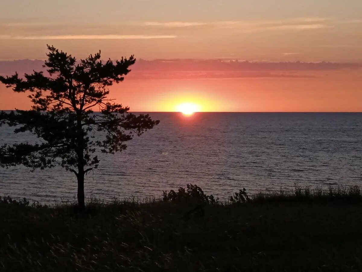 Рассвет закат опять рассвет. Опять рассвет. Опять рассвет. Опять рассвет. Рассвет в сирии.