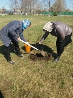 Погода ашитбаш