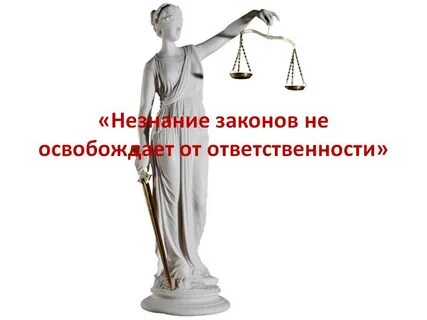 Не зная закона не освобождает от ответственности