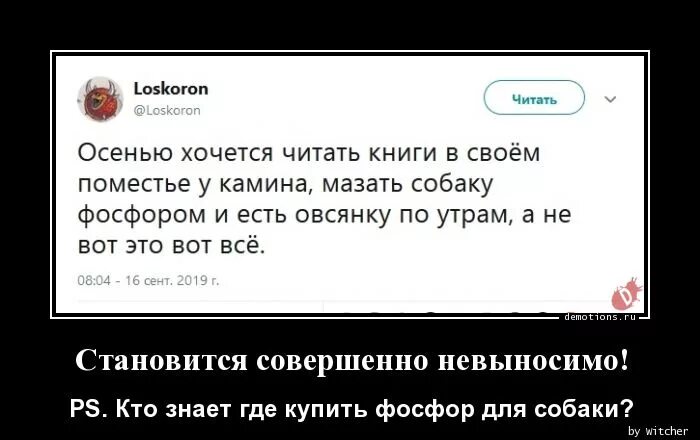 Что делать если не хочется читать. Что делать если не хочется читать