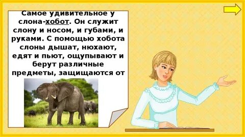 Окружающий мир 1 класс слоны
