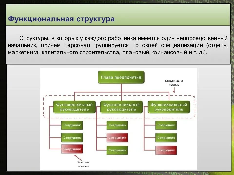 Непосредственным руководителем которых