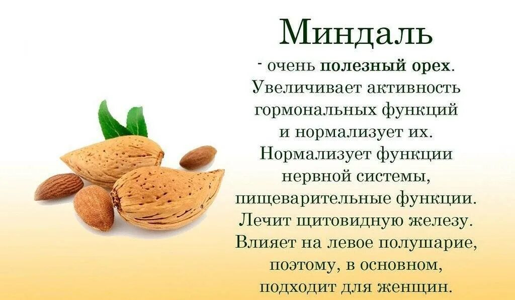 Миндаль содержание веществ. Чем полезен миндаль. Чем полезны орехи миндаль. Миндаль польза. Чем полезен миндаль для организма.