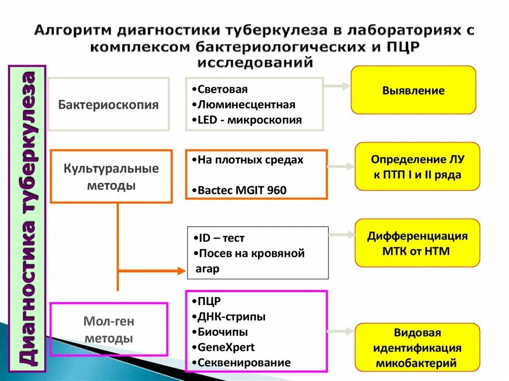 Алгоритм туберкулеза. Схема лабораторной диагностики туберкулеза. методы диагностики туберкулеза схема. методы диагностики туберкулеза фтизиатрия. туберкулез метод диагностики схема.