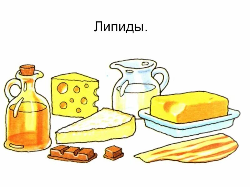 Сало углеводы жиры. Рисование продукты питания. рисунки продуктов питания. продукты питания рисунок. жиры в продуктах питания.