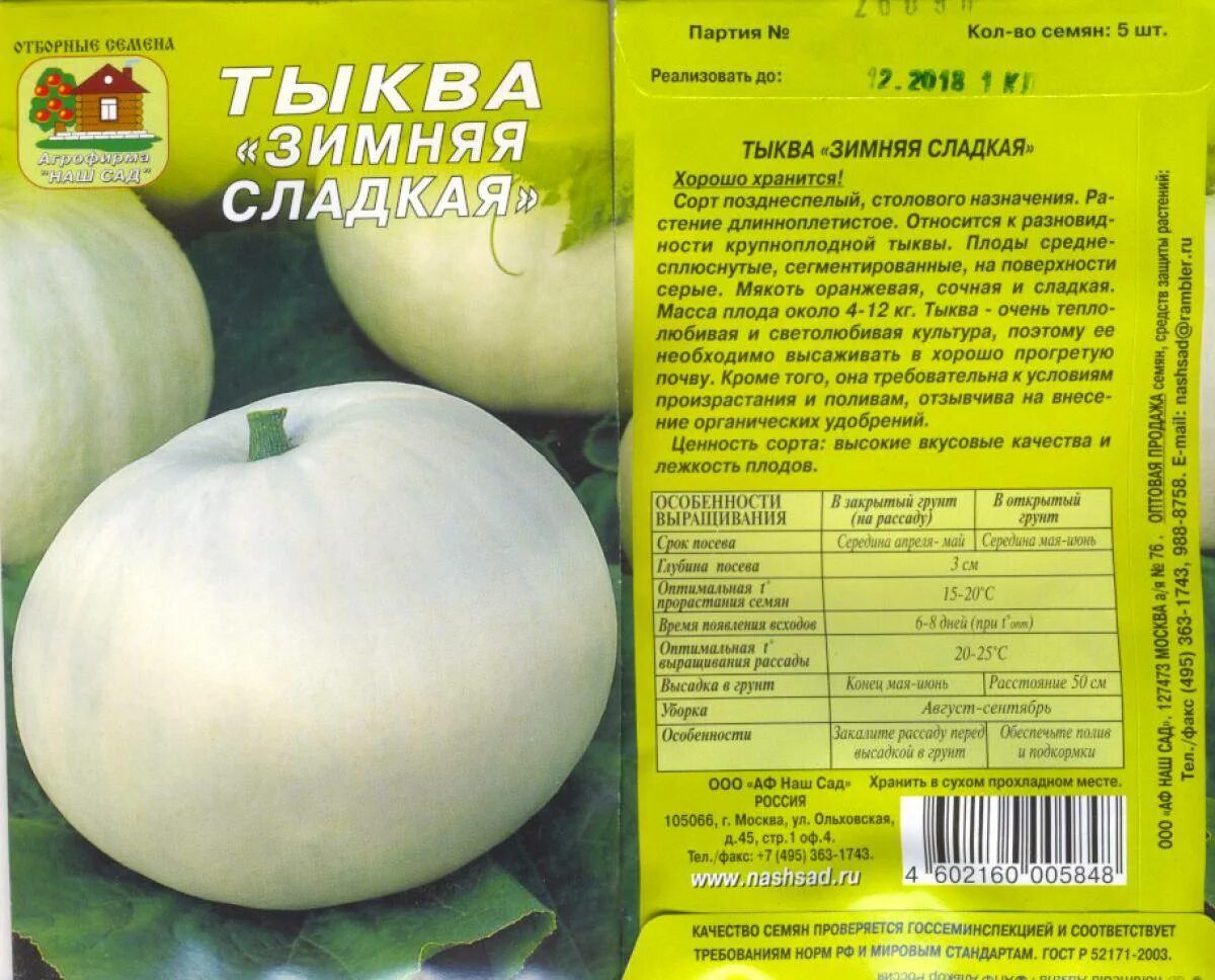 Какой сорт тыквы сладкий. Тыква грибовская зимняя описание сорта. тыква колхозница описание сорта. сладкая пышка тыква сорт. сорт тыквы зимняя сладкая.