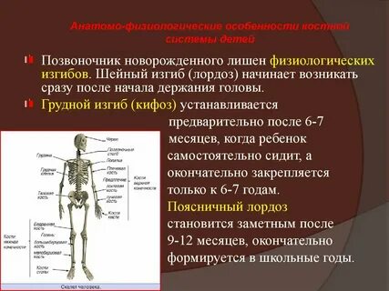 Формирование костей у детей