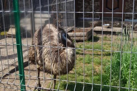Омский зоопарк