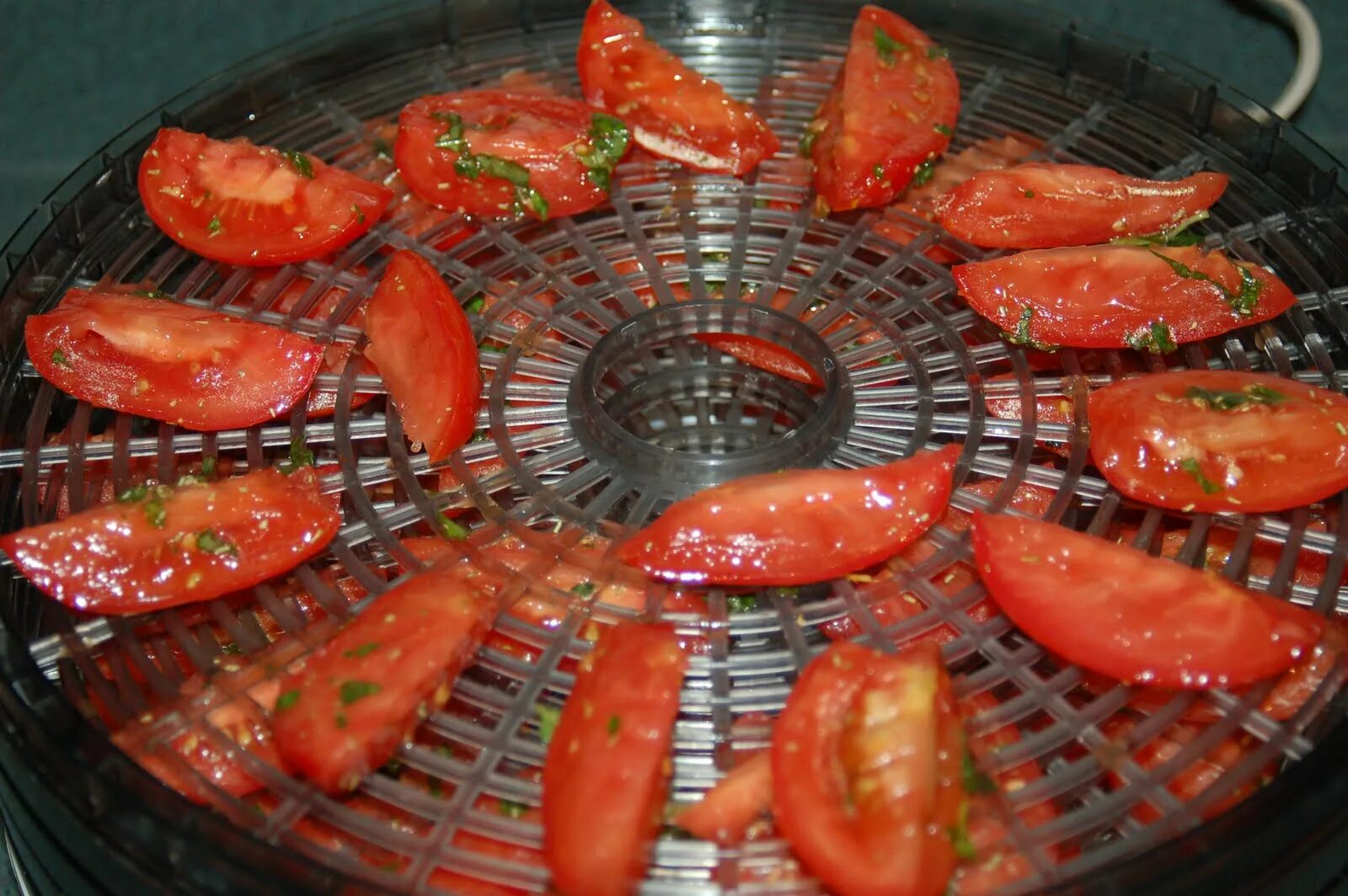 Рыба в сушилке для овощей. Вяленые томаты в электросушилке. Помидоры в сушилке для овощей. Помидоры в электросушилке. Вяленые помидоры в электросушилке.