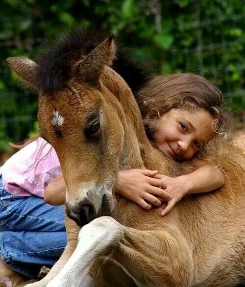 Обнимает лошадь. Девушка обнимает лошадь. Лошади обнимаются. Лошадь для детей. Добра коня
