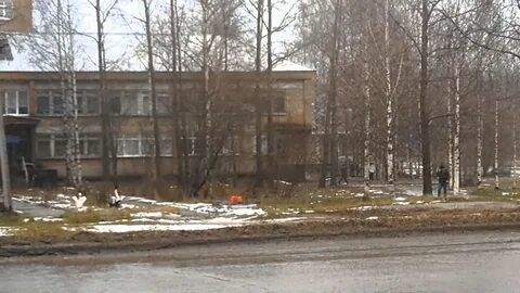 Тубдиспансер сыктывкар димитрова