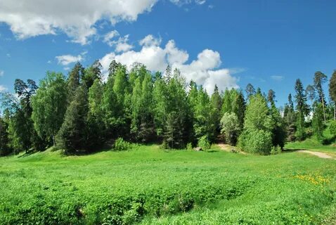 Горки сиверский
