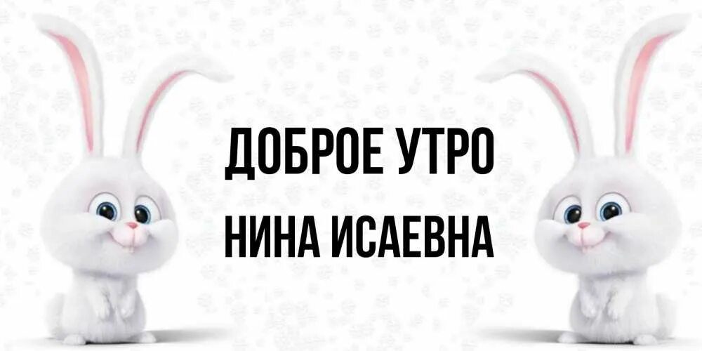 Доброе утро зайчонок