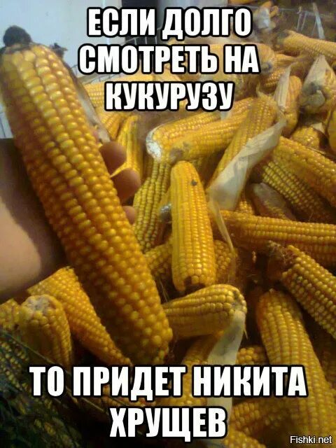 Кукуруза смешная шутка. Кукуруза прикол. Анекдоты про хрущева. Плакаты хрущева кукуруза. Кукуруза царица полей хрущев.